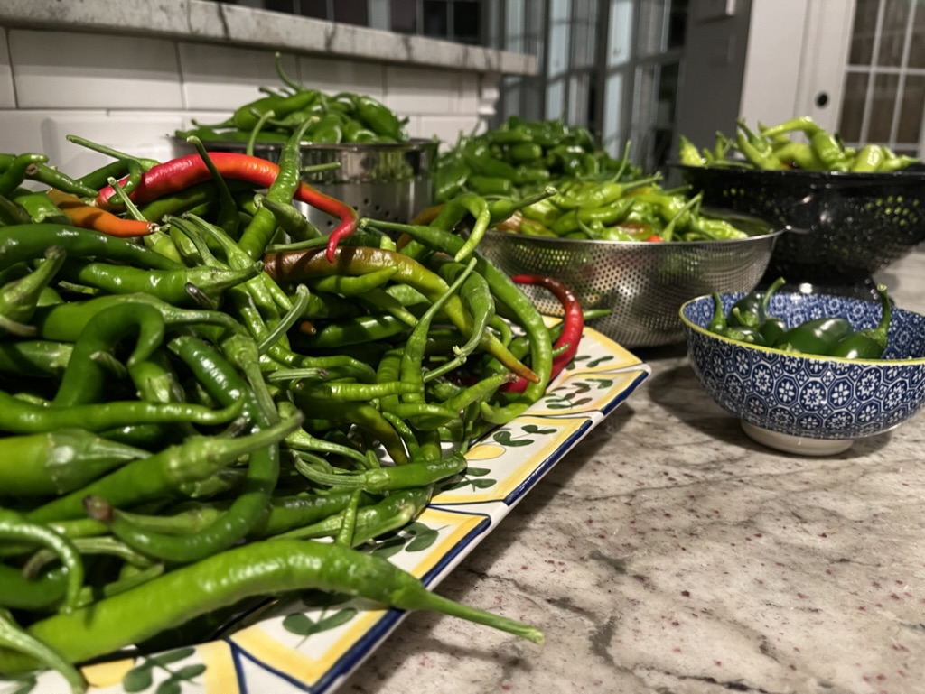 GreenBeans