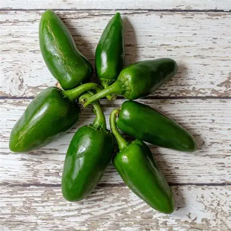 Jalapeño / Huichinango